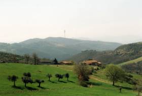 La Rogaia is situated in the hills above Lake Trasimeno, surrounded by olive groves, pastures and woods, far away from traffic noise and pollution.