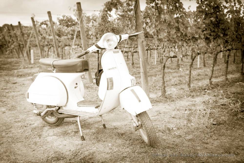 Vespa at the vineyard© Foto: René van Bakel/ASAblanca.com