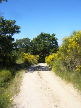 Hiking path at La Rogaia in May